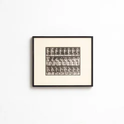Eadweard Muybridge, Schwarz-Weiß-Bild, 1982, Fotografie, Gerahmt