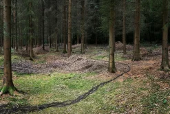 Ellie Davies, Knit One, Pearl One 3, 2011, Fotografie