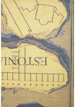 Estland Teppich von Stefano Arienti
