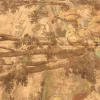 Gobelin Wandbild im antiken Stil