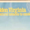 Goldenes Vintage Virginia Werbeplakat, 1970er