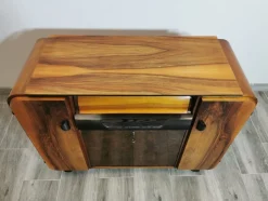 Grammophon Schrank von Jindrich Halabala, 1950er