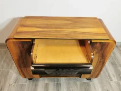 Grammophon Schrank von Jindrich Halabala, 1950er