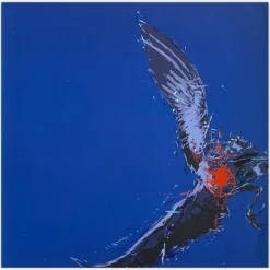 Gérard Le Cloarec, Target Bird, 1976, Siebdruck