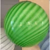 Grüne Hängelampe aus Muranoglas von Simoeng