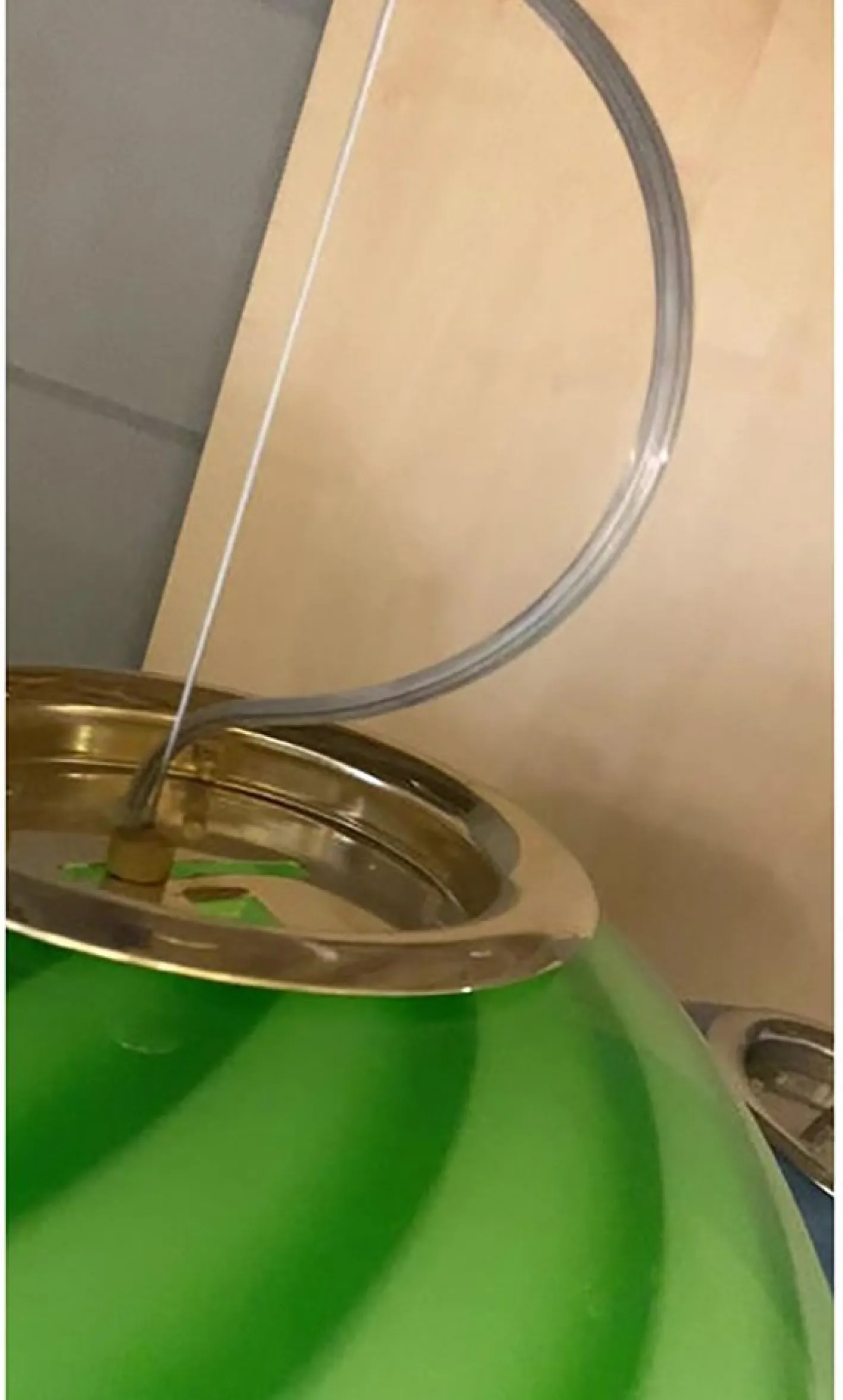 Grüne Hängelampe aus Muranoglas von Simoeng