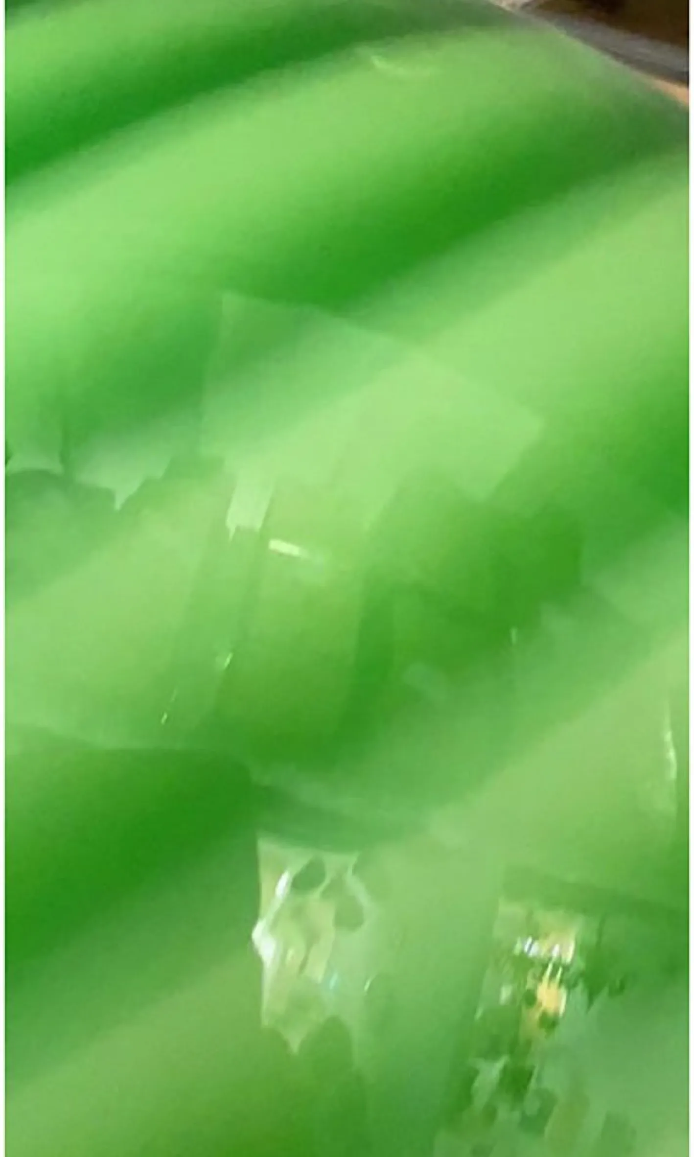 Grüne Hängelampe aus Muranoglas von Simoeng