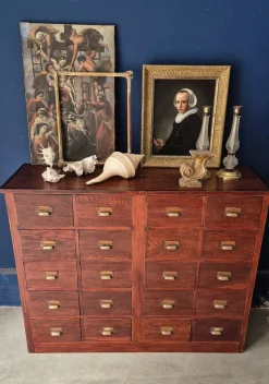 Großer italienischer Aktenschrank aus Kastanienholz mit 20 Schubladen, 1890er