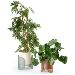 Große Riviera Vase von Mambo Unlimited Ideas