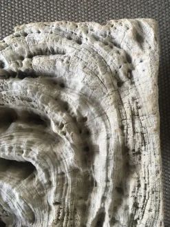 Handgeschnitzte natürliche abstrakte Holzskulptur von Dimore Di Lucia Valzelli