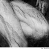 Ian Sanderson, Charlotte, Kunstdruck, 2007
