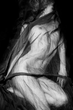 Ian Sanderson, Charlotte, Kunstdruck, 2007