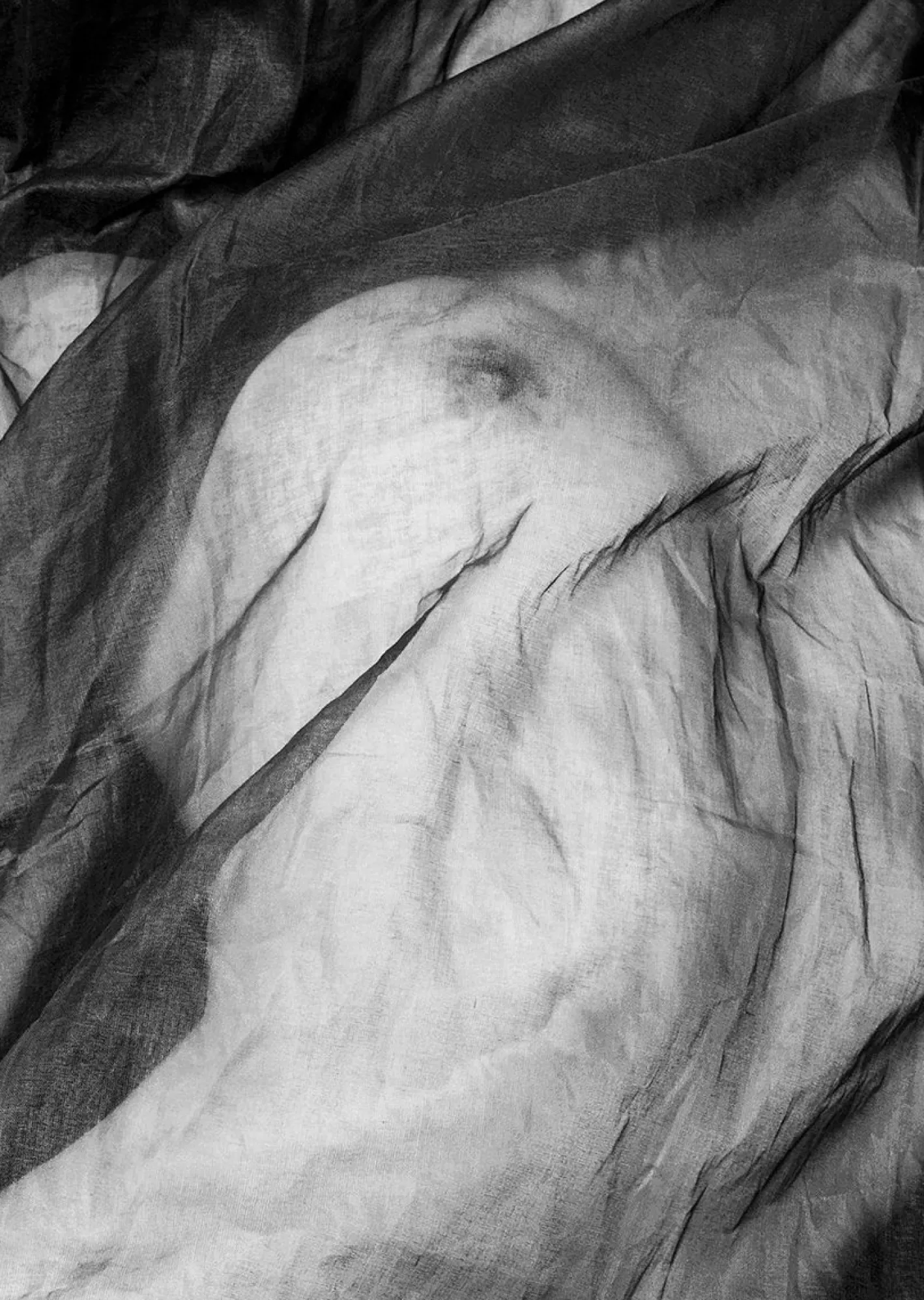 Ian Sanderson, Charlotte, Kunstdruck, 2007