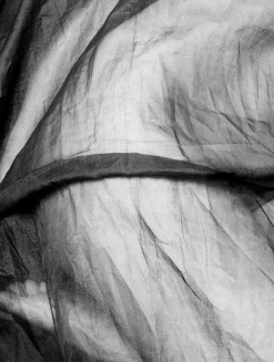 Ian Sanderson, Charlotte, Kunstdruck, 2007