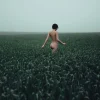 Igor Ustynskyy, Junge nackte Frau in einer Wiese, Fotopapier