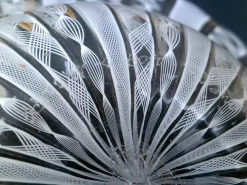 Italienische Murano Schale aus Zanfirico Glas & Silber von Barovier & Toso, 1950er