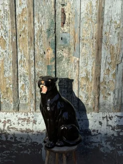 Italienischer Künstler, Black Panther, 1960er, Terrakotta