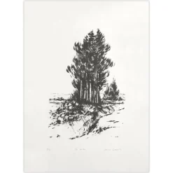Jacques Deperthes, Les Arbres, 1975, Lithographie