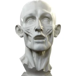Jean-Antoine Houdon, Enthäuteter Mann, 20. Jh., Gipsabdruck