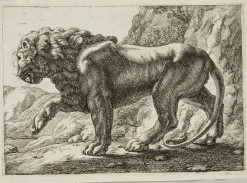 J. Meyer, Pace Lion, 17. Jh., Radierung
