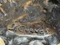 Juan Cuavas, Stier, 1920, Bronze