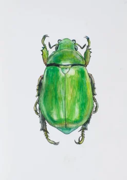 Juris Utans, Big Green Beetle, 2021, Mixed Media auf Papier