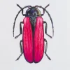 Juris Utans, Purple Beetle, 2021, Mixed Media auf Papier