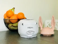 Kaninchen Behälter