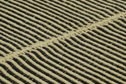 Kelim mit strukturierten cremeweißen und schwarzen Streifen von Rug&Kilim