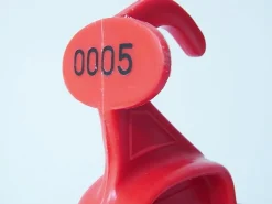 Kleiderbügel, 1970er, 5er Set