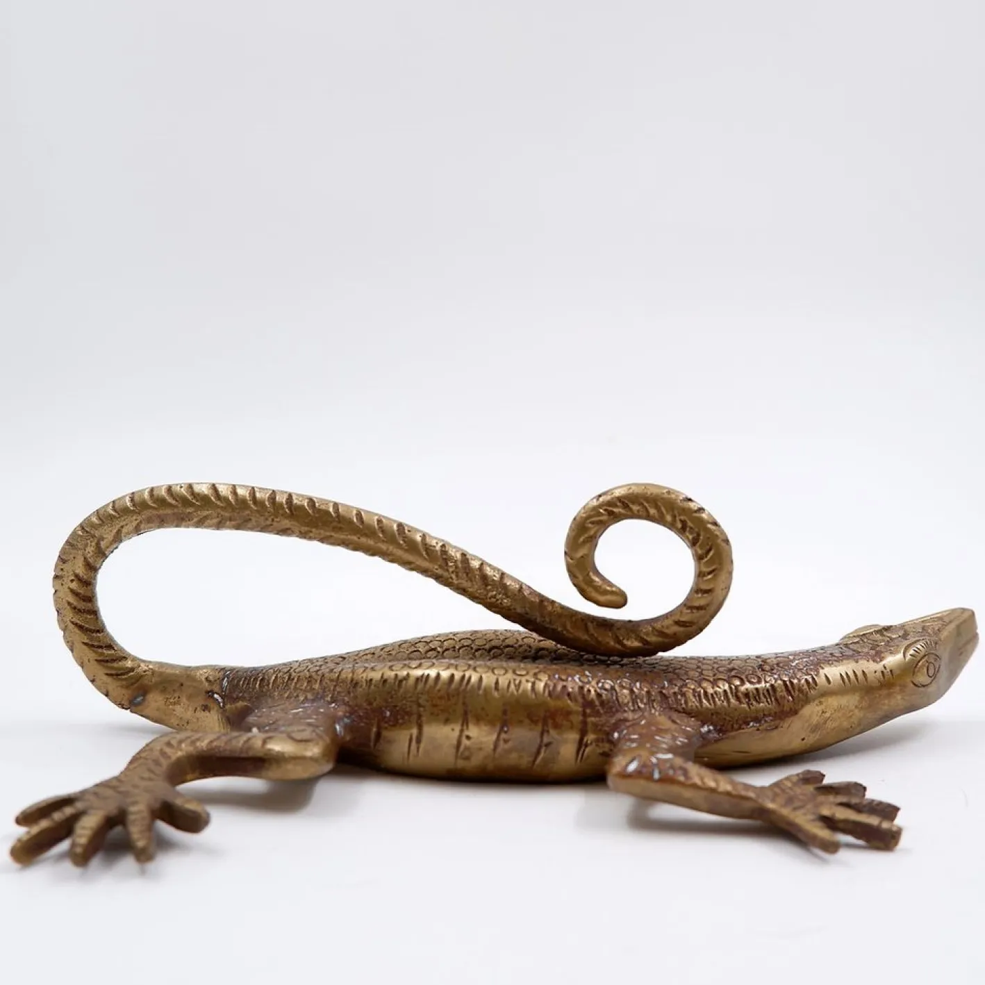 Komodo Eidechsengriff aus Messing