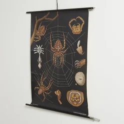 Lehrreiche Spinnen Lehrtafel von Jung, Koch & Quentell für Hagemann, 1960er