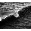 Long Wave in Venice Beach, Schwarz-Weißer Giclée-Druck auf Matt Baumwollpapier 2020