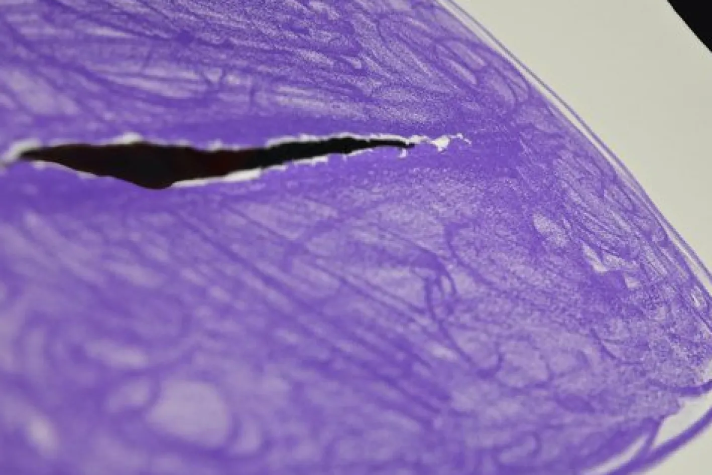 Lucio Fontana, Space Concept (Concetto Spaziale), Lithographie, 1967