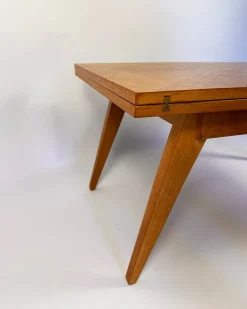 Magic Revelation Couchtisch von Albert Ducrot, 1950er