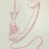 Man Ray, The Absolute Real, 1960er, Lithographie, gerahmt