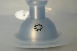 Medusa Tischlampe aus perlmuttfarbenem Muranoglas von Nason für Leucos, Italien, 1960er