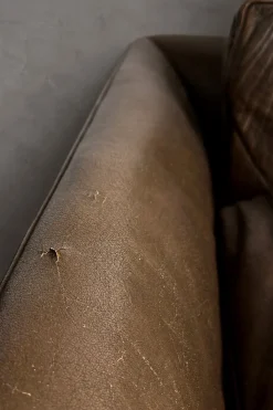 Mid-Century Modern Leder Cromwell Sofa von Arne Norell, 1960er