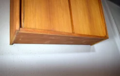 Mid-Century Wandschrank von Monke Möbel, 1950er