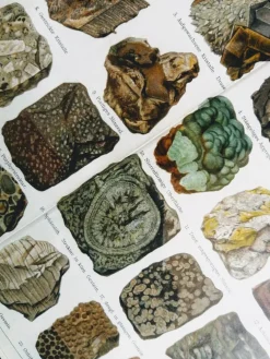 Mineralien und Felsen. Enzyklopädische Grafik, Deutschland, Chromolithograph