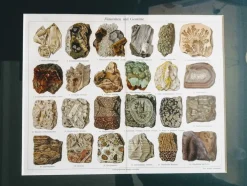 Mineralien und Felsen. Enzyklopädische Grafik, Deutschland, Chromolithograph