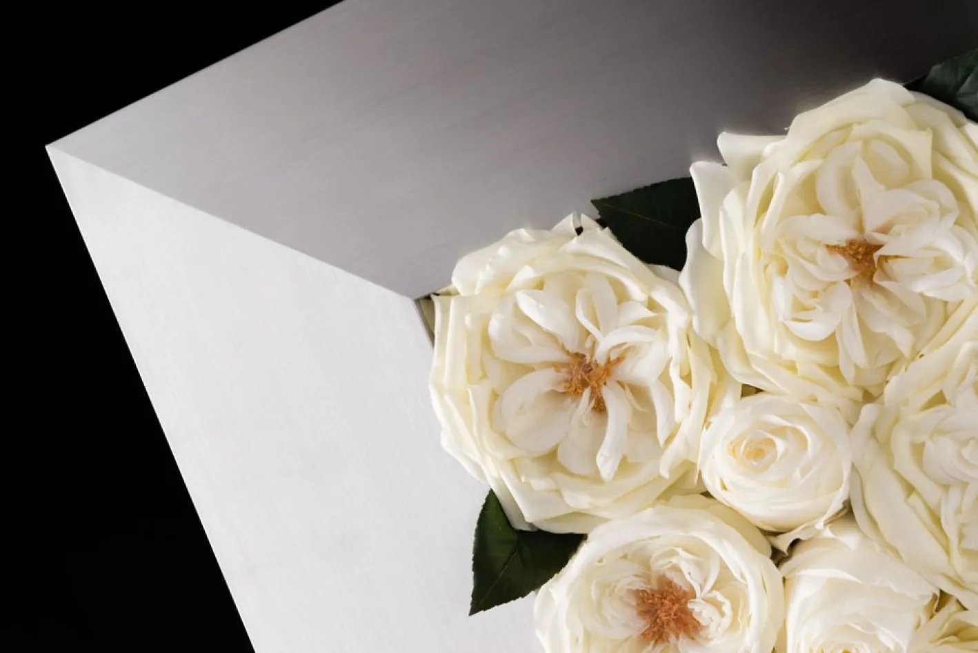 Mix Rose Cornice Set von Vgnewtrend