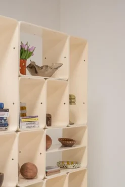 Modulares Bücherregal oder Raumteiler von Carlo De Carli für Fiarm, 1970er