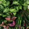 Modulares modulares Wand-Gartenpaneel von VGnewtrend