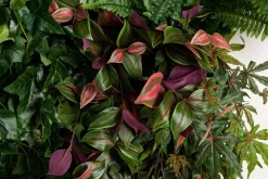 Modulares modulares Wand-Gartenpaneel von VGnewtrend