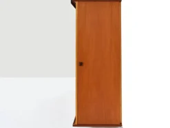 Multifunktionaler Kleiderschrank von Gio Ponti, Italien, 1954