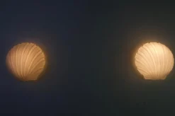 Muschelförmige Wandlampen aus Opalglas von Glashütte Limburg, 1960er, 2er Set