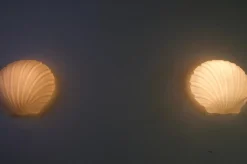 Muschelförmige Wandlampen aus Opalglas von Glashütte Limburg, 1960er, 2er Set
