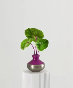 Mykonos Vase von May Arratia für MAY ARRATIA Studio