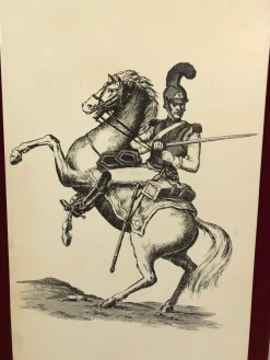 Napoleonischer Paravent oder Raumteiler